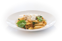 PENNE con ZUCCA